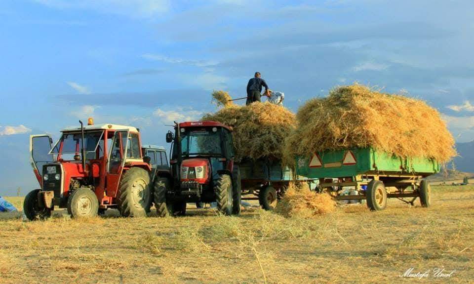 Konya’da kuraklığın içine çizilmiş harman portresi 12